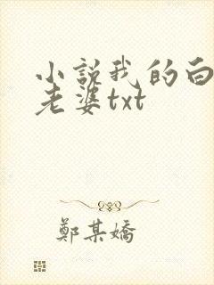 小说我的白富美老婆txt