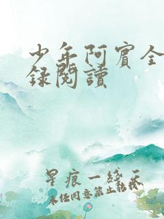 少年阿宾全文目录阅读