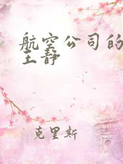 航空公司的空姐王静
