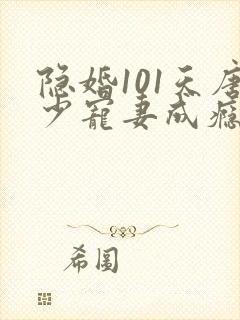 隐婚101天唐少宠妻成瘾 南之情