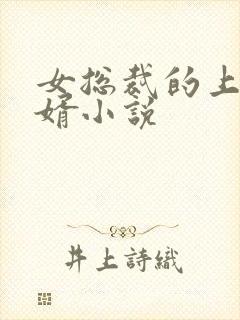 女总裁的上门女婿小说