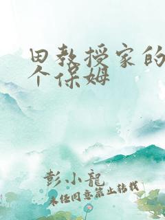 田教授家的28个保姆
