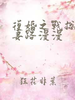复婚之战总裁追妻路漫漫