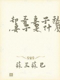 却看妻子愁何在,妻子是什么意思?