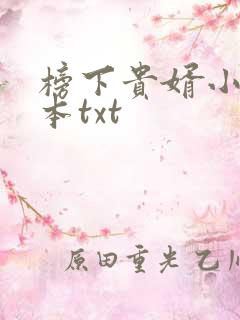 榜下贵婿小说全本txt