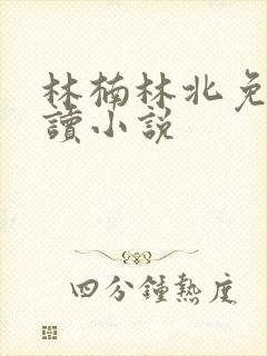 林楠林北免费阅读小说