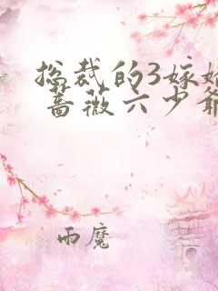总裁的3嫁娇妻 蔷薇六少爷