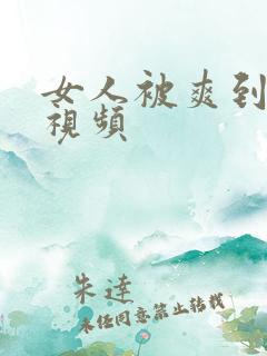 女人被爽到呻吟视频