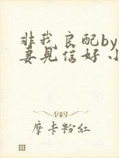 非我良配by吾妻见信好 小说免费阅读