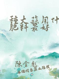 种大蒜用什么底肥料最好