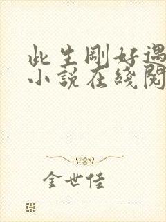 此生刚好遇见你小说在线阅读