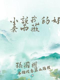 小说我的好儿媳秦雨薇