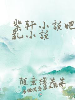 紫轩小说吧母子乱小说