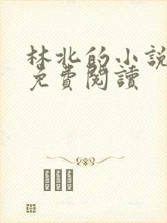 林北的小说全文免费阅读