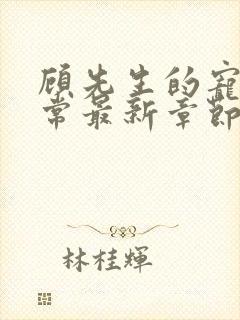 顾先生的宠妻日常最新章节免费阅读