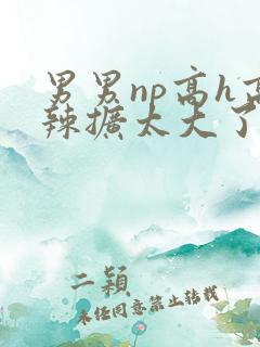 男男np高h高辣扩太大了太深了