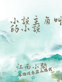 小说主角叫林昊的小说