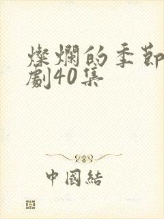 灿烂的季节电视剧40集