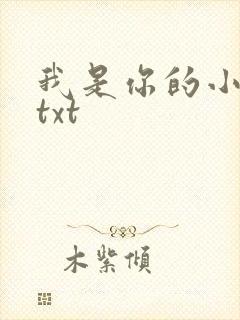 我是你的小小狗txt