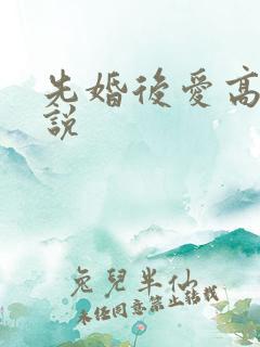先婚后爱高甜小说