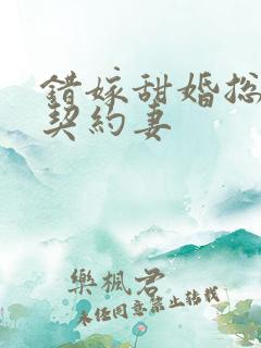 错嫁甜婚总裁的契约妻
