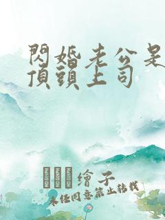 闪婚老公是我的顶头上司