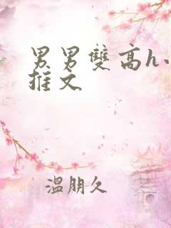 男男双高h小说推文