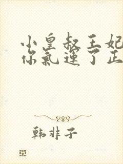 小皇叔王妃又薅你气运了正版