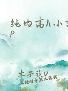 纯肉高h小说np