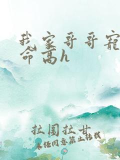 我家哥哥宠妹如命高h
