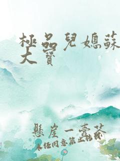 极品儿媳苏媚赵大宝