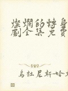 灿烂的转身电视剧全集免费