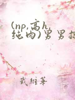 (np,高h,纯肉)男男总攻