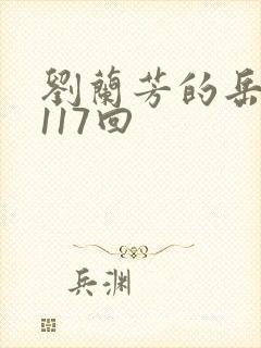 刘兰芳的岳飞传117回