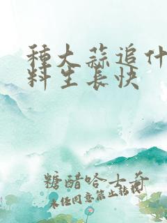 种大蒜追什么肥料生长快