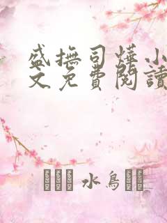 盛抚司烨小说全文免费阅读无弹窗