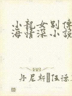 小龙女别传之孽海情深小说