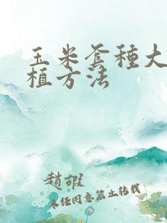 玉米套种大豆种植方法