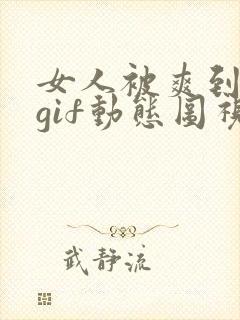 女人被爽到呻吟gif动态图视看