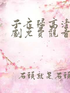 子夜归高清电视剧免费观看全集