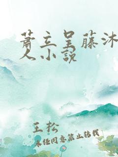 萧立呈藤沐仁同人小说