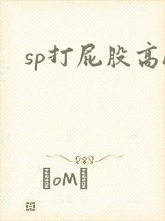 sp打屁股高h
