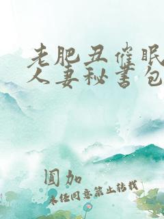老肥丑催眠双性人妻秘书包子