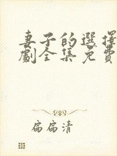妻子的选择电视剧全集免费