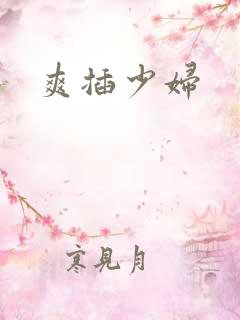 爽插少妇