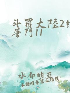 斗罗大陆2绝世唐门11
