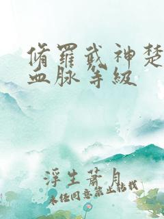 修罗武神楚枫的血脉等级