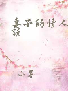 妻子的情人 小说