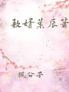 敖婿叶辰萧初然