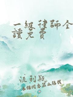 一级律师全文阅读免费